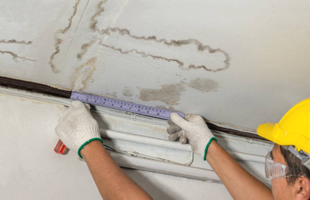 Reliable Mold Remediation contractor in Fountain, NC by Water Damage Irwin